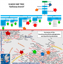 M222, SNP tree, R-M222, Mitchell, Scottish, Surnames, Galloway Dumfriesshire