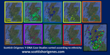 Scottish Origenes Y-DNA Case Studies